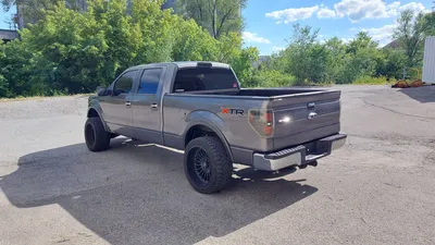 2011 FORD F-150 PICKUP TRUCKS | Platinum Group (10)