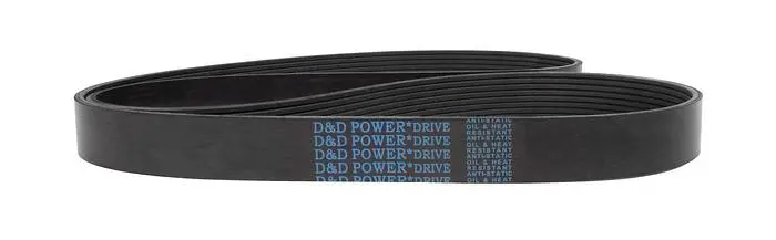 NEW PISTORIUS 10 RIB, J-STYLE, MULTI V BELT