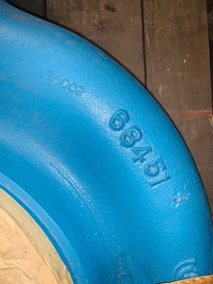 USED Goulds 3196