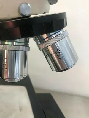 NIKON OPTIPHOT BD Plan 10, 5, 20, 60
