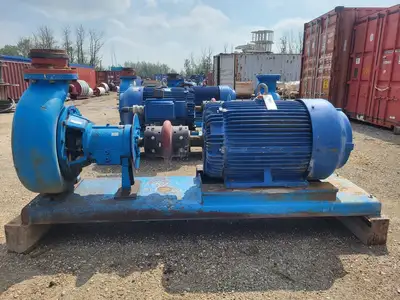 USED GOULDS 3196