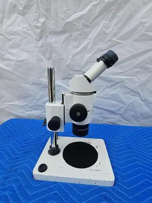 WILD HEERBRUGG MICROSCOPE WITH PLAN 1X (2 EYEPIECES LEICA 10X21B)