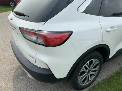 Used 2022 FORD ESCAPE Miscellaneous Trucks/Trailers Michigan US | Miedema Asset Management Group #1489517