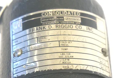 NEW DRESSER FRANK D. RIGGIO 1996C-1-XLS1 CONSOLIDATED VALVE 1996C1XLS1