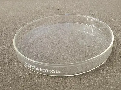 PYREX PETRI DISH BOTTOM ONLY