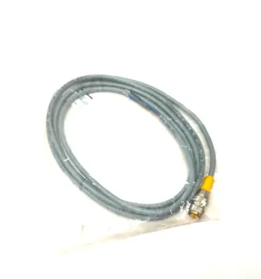 NEW TURCK EUROFAST SINGLE ENDED CORDSET M12 4-PIN