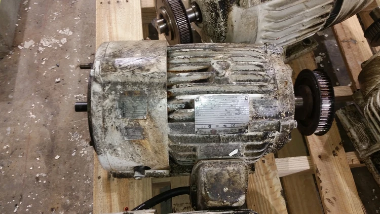 Used _UNKNOWN_ D01 99022594 001 F Motors (misc) Alabama US | Transamerican Equipment Company #702920