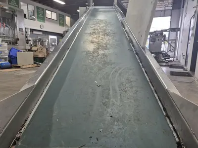 13 Feet Incline Conveyor