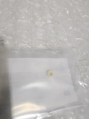 CLEAN PART GASKET, CERAMIC, SHIELDED SCREW 102205356