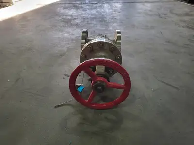 NEW LADISH 8275