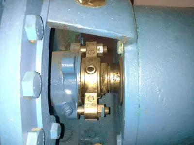 USED Goulds 3196