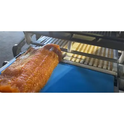 Used Marel _UNKNOWN_ Slicers / Dicers / Cutters | ISCA #1299026