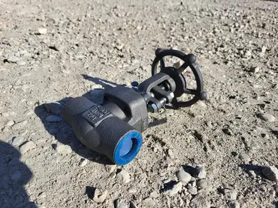 1" Class 800 Gate Valve API 602