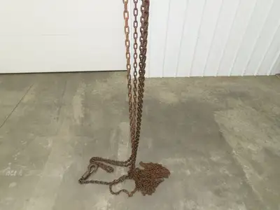 CM Cyclone 1 Ton 2000Lb Manual Chain Fall Hand Hoist 20' 10" Lift