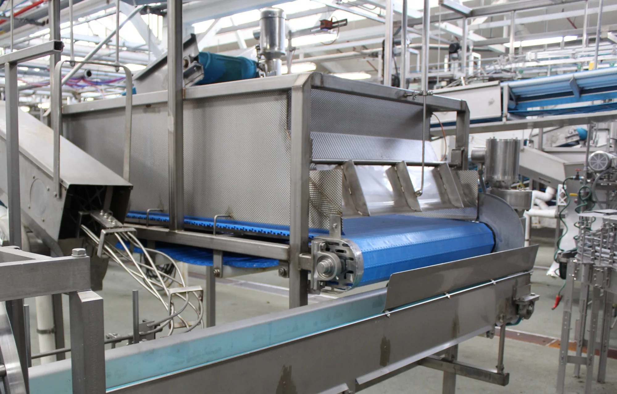 Hopper Feed Conveyor