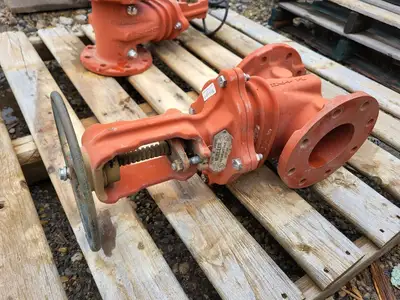 4" Gate Valve R2365, 250 PSI