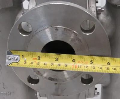 NEW TITAN DS696S0200 FCI DUPLEX STRAINER 2" SW39