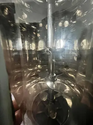 (2) 100 L Crystallization Reactor with Agitators and Controller