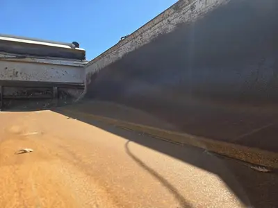 Used 2012 PETERBILT 365 Dump trucks California US | Ben Kaplan Equipment #1567611