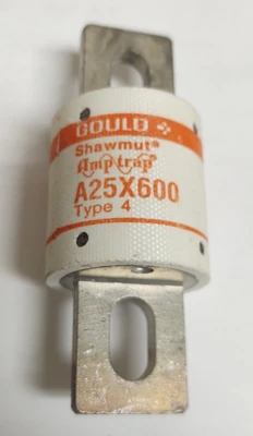 NEW Gould Shawmut A25X600