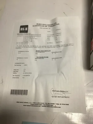 BS & B Safety Systems 6″ DV Rupture Disk 12080118-2