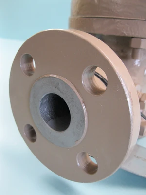 NEW Cashco D16-5XX7-4SX55161E