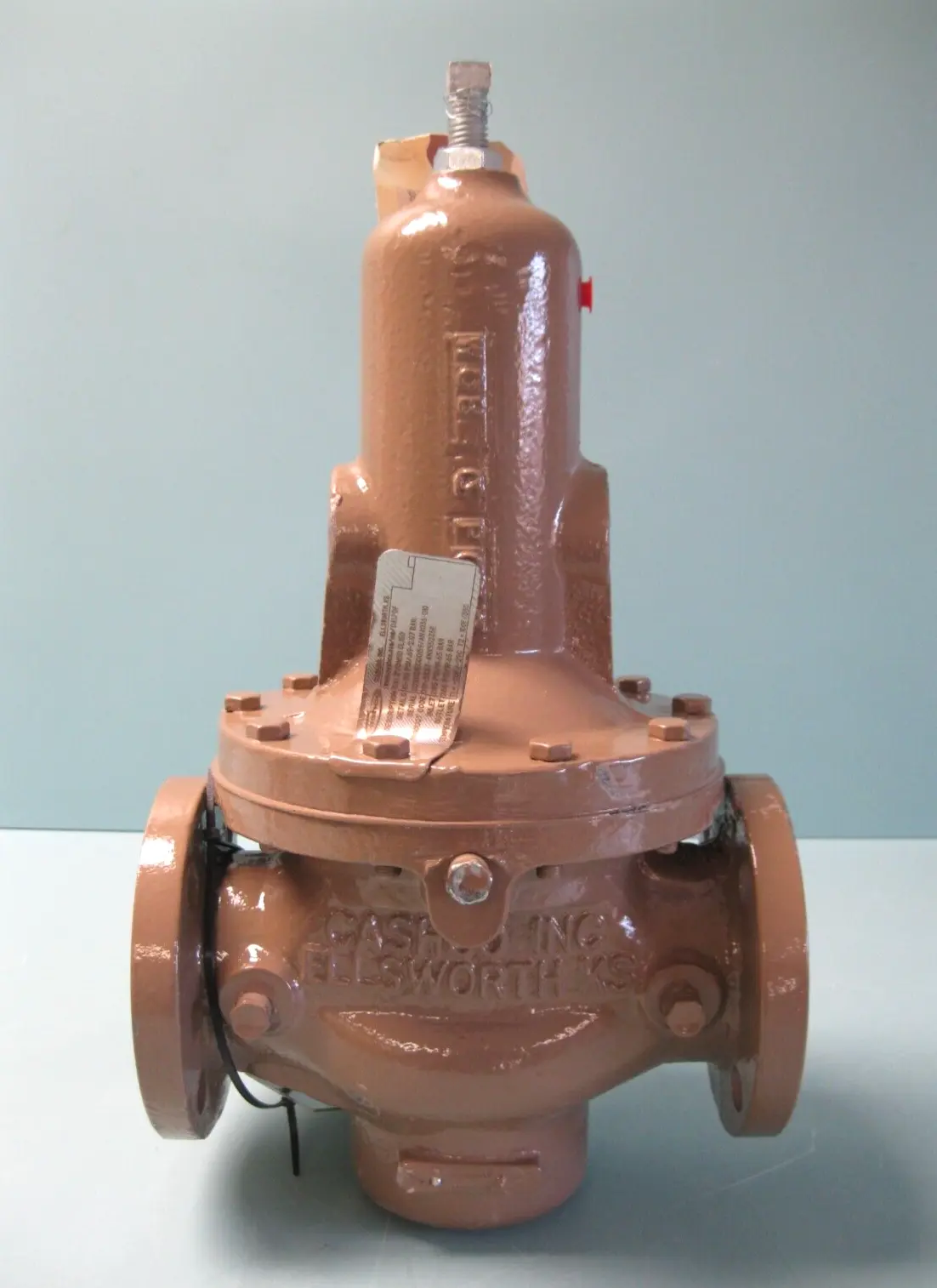 NEW Cashco D19-5XX7-4NX55235E