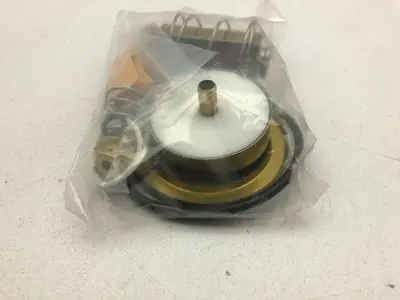 Asco Red Hat 310493 Valve Rebuild Kit (Believed to be complete)