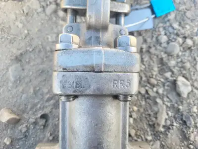 1" Class 800 Globe Valve API 602