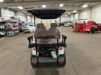 Used 2026 SDLANCH HQ100 Golf Carts Michigan US | Miedema Asset Management Group #1477060