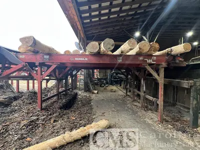 USED PENDU COMPLETE PENDU CUT STOCK OPERATION - SCRAGG, GANG RIP, STACKER