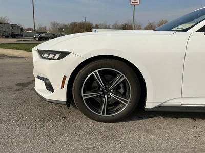 Used 2024 FORD MUSTANG Cars Michigan US | Miedema Asset Management Group #1579884