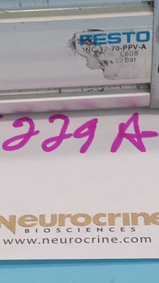 USED Festo DNC-32-70-PPV-A 163304
