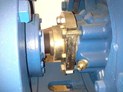 USED Goulds 3175