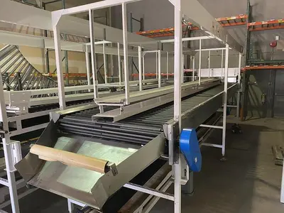 Citrus Packing Lines