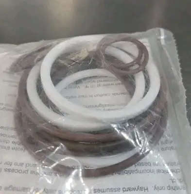 HAYWARD LAX2PAK Seat and Seal Repair Kit Loc5C28