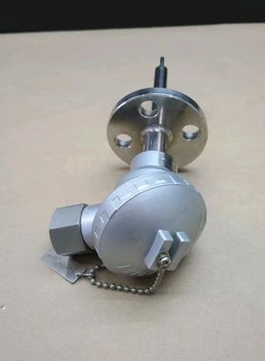 NEW Hayashi Pt100-A-2-M