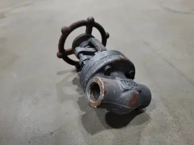 1/2" Class 800 Gate Valve B16.34