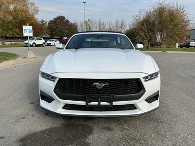 Used 2024 FORD MUSTANG Cars Michigan US | Miedema Asset Management Group #1579884