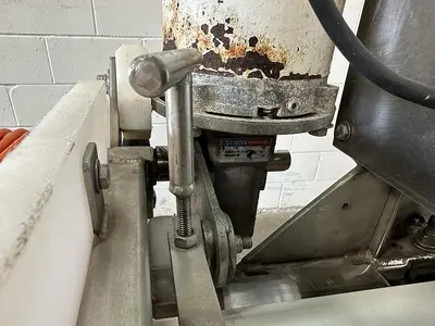 Berry Sizer