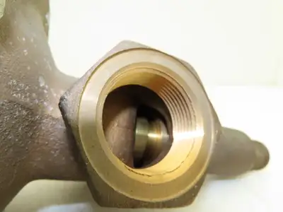 Cash Acme D 52 X Bronze Vacuum Breaker Valve 1-1/4" NPT 2-30 PSI Vented