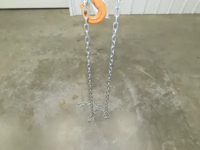 Vestil LOW-2P 1 Ton 2000Lb Chain Fall Hoist 9.8' Lift Push Trolley Low Headroom