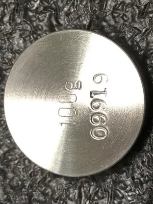 USED RICE LAKE 100G