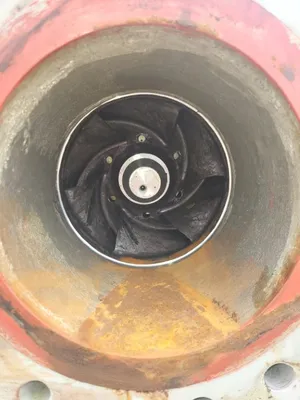 NEW FLOWSERVE 10 HPX 18B