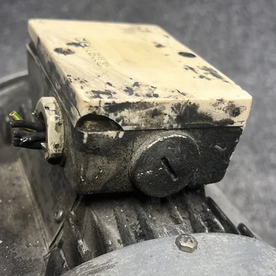 Used Siemens 1LA5096-4AA93-ZN03 A.C. Motors California US | Davliegogo LLC #1705653