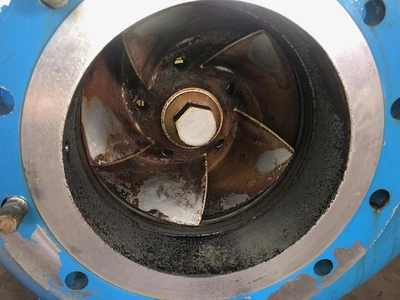 USED Goulds 3180L