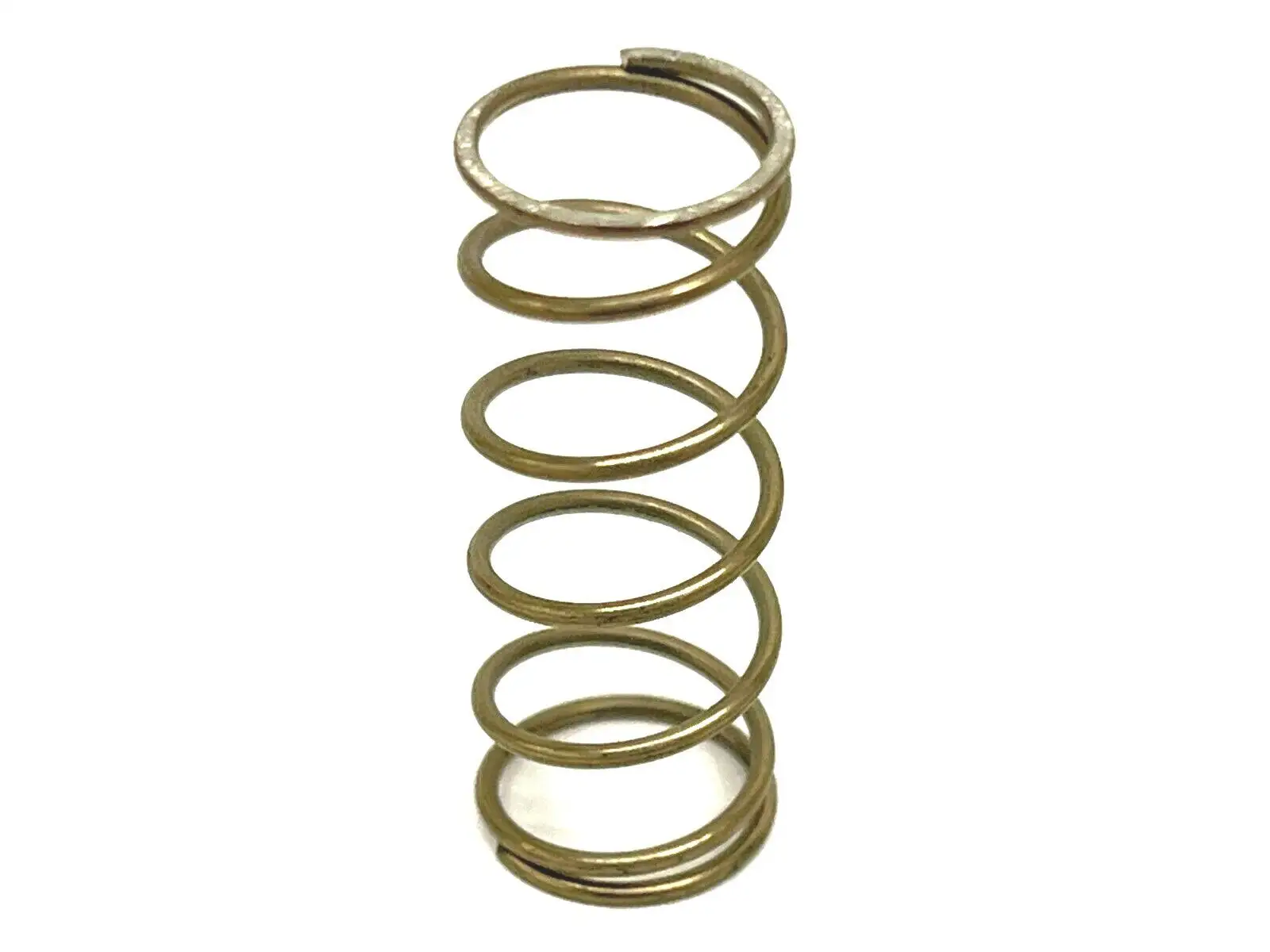 DN10.0.6BAR | Lewa Valve Spring  for Lewa Water Pump - New