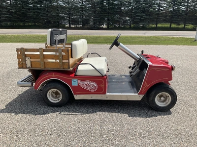 Used CLUB CAR ELECTRIC CART Golf Carts Michigan US | Miedema Asset Management Group #1327785