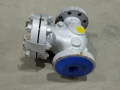 USED DSI VALVES 165 XU