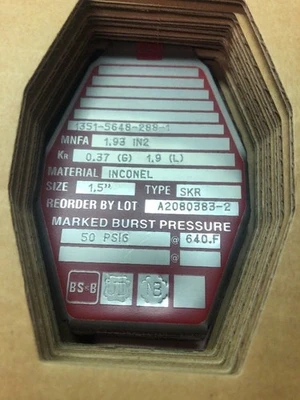 NEW BS&B Safety Systems SKR